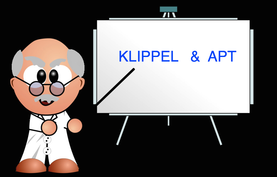 KLIPPEL 研讨会